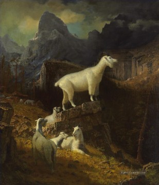 Albert Bierstadt Werke - Rocky Berg Ziegen Albert Bierstadt
